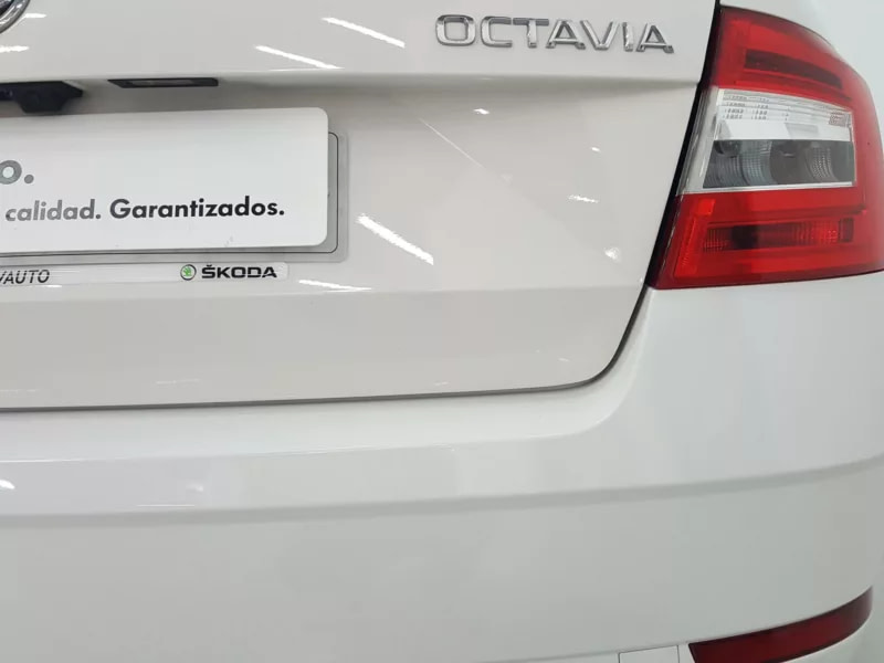 SKODA OCTAVIA Diesel 2019 segunda-mano Jaén